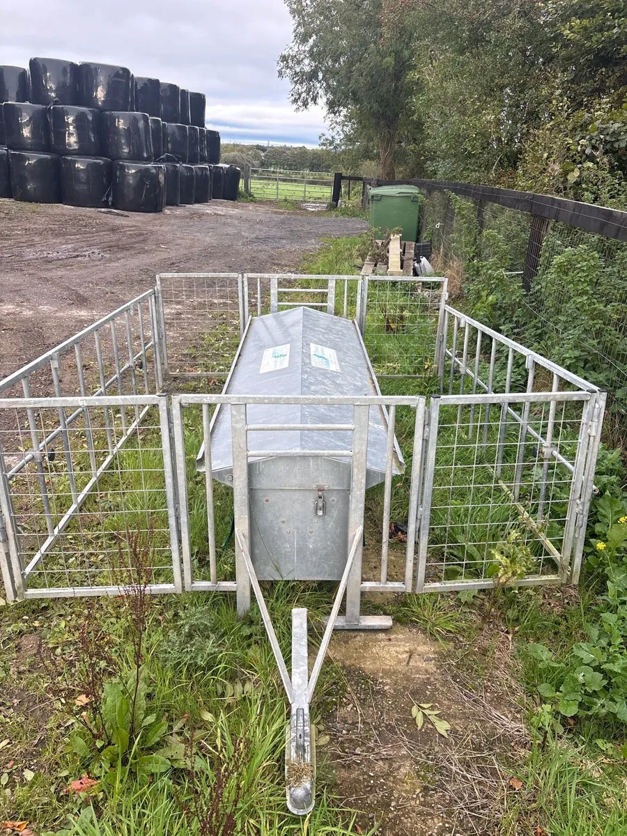 Lamb feeder - Image 1