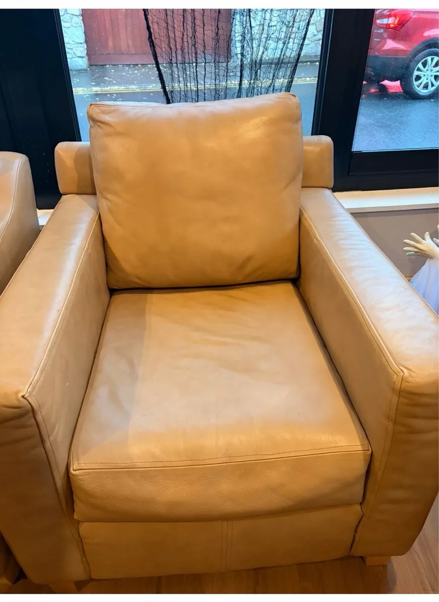 Sofa suits - Image 3