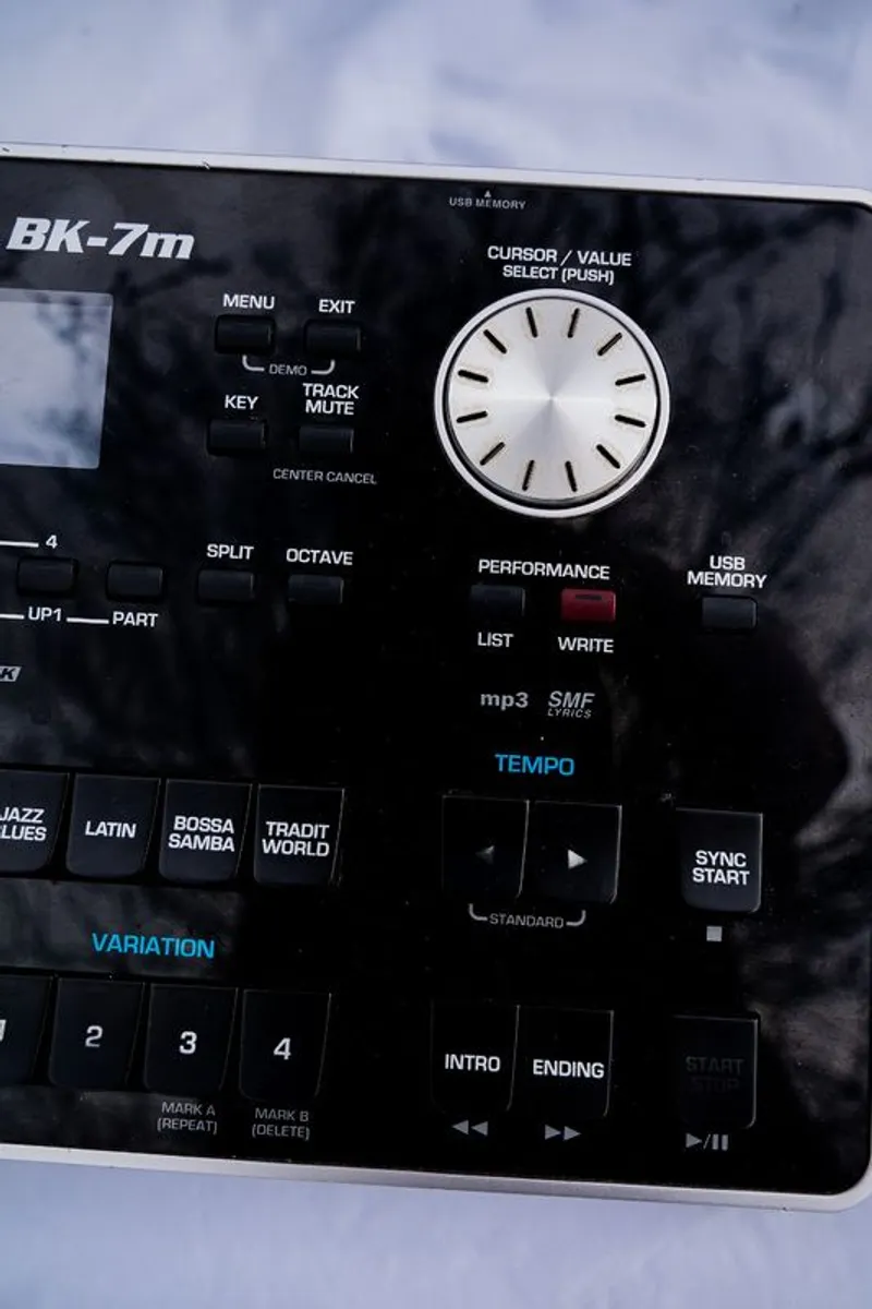 Roland Bk- 7m - Image 3