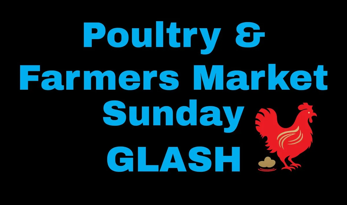 Poultry market