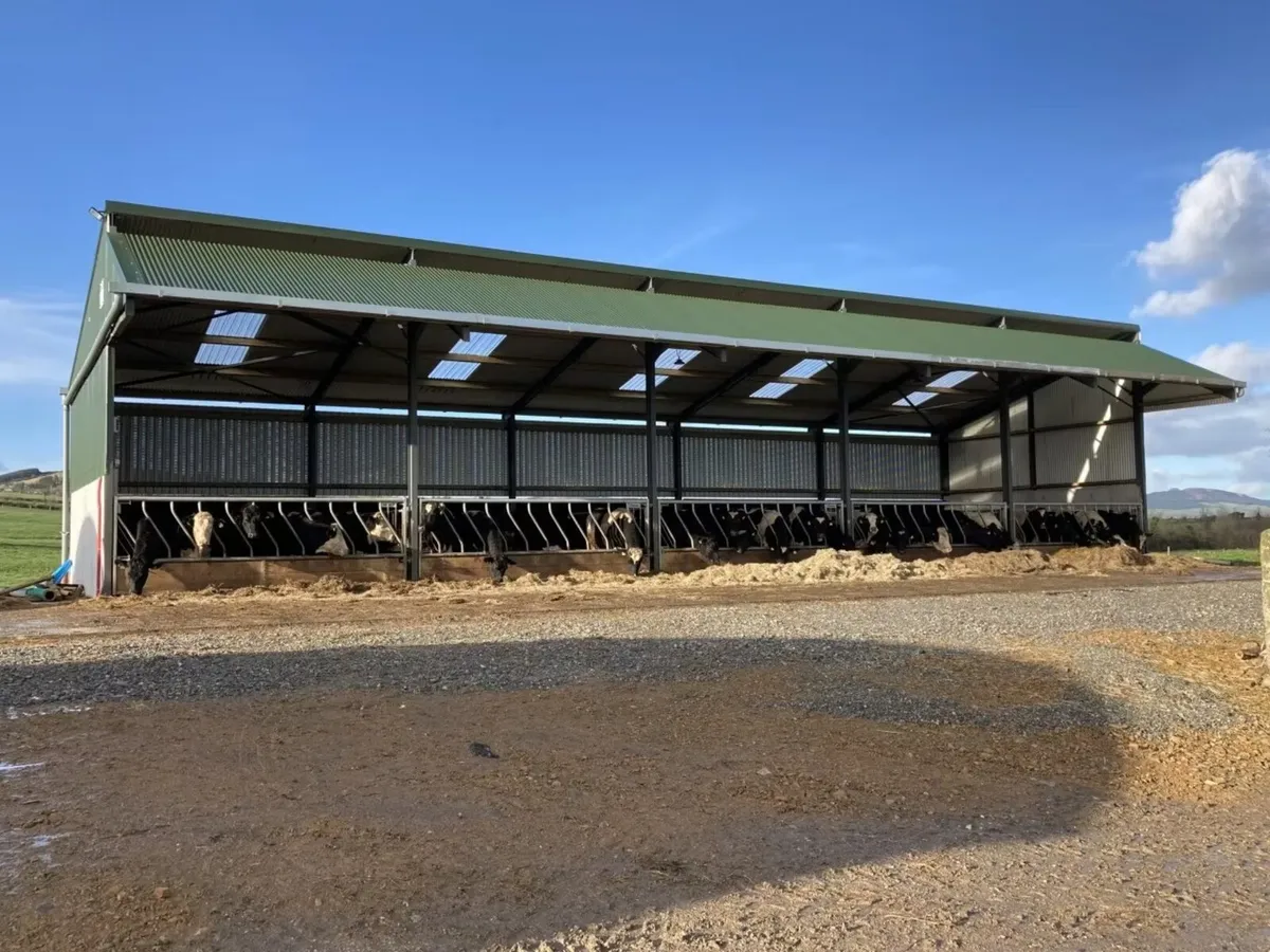 Shed with land