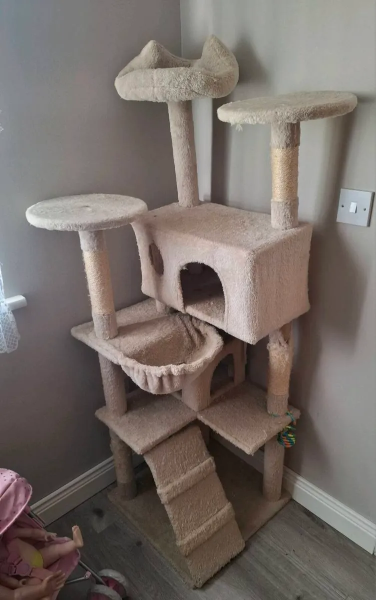 Cat Climbing Tree - Image 1