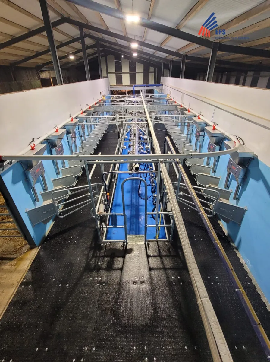 New DeLaval Milking Machines. - Image 1