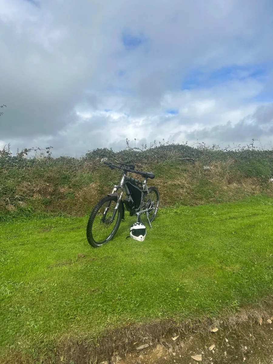 E bike - Image 2