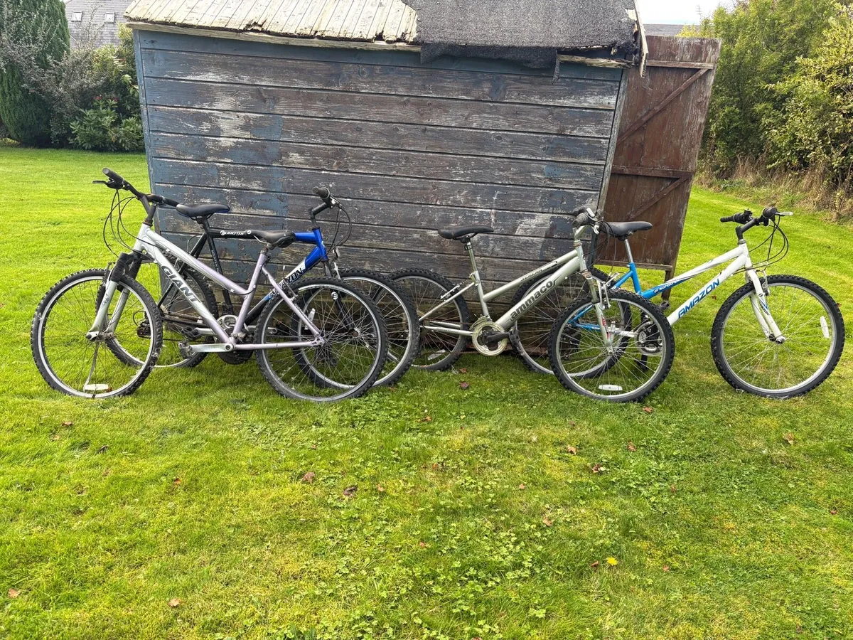 Bicycles - Image 1
