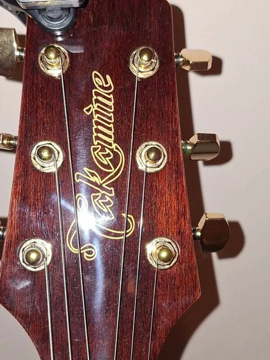 takamine acoustic - Image 4