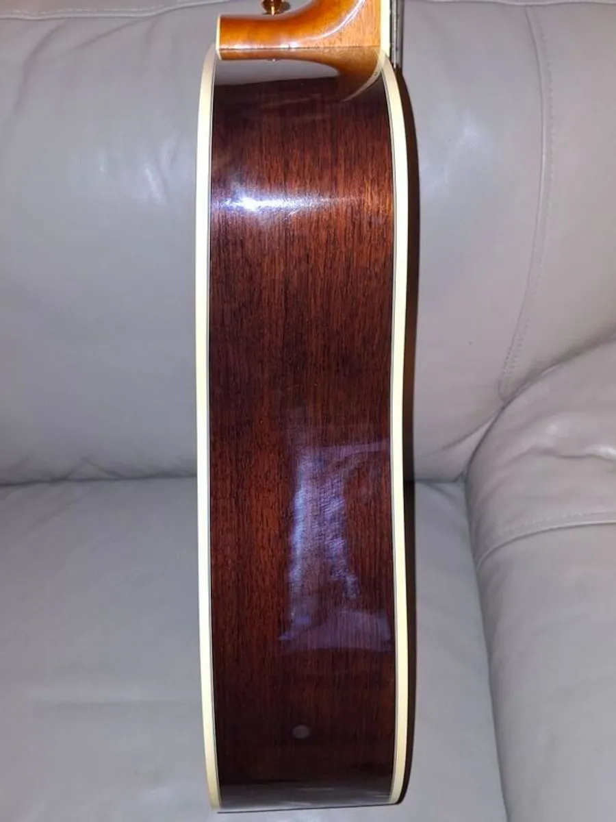 takamine acoustic - Image 1
