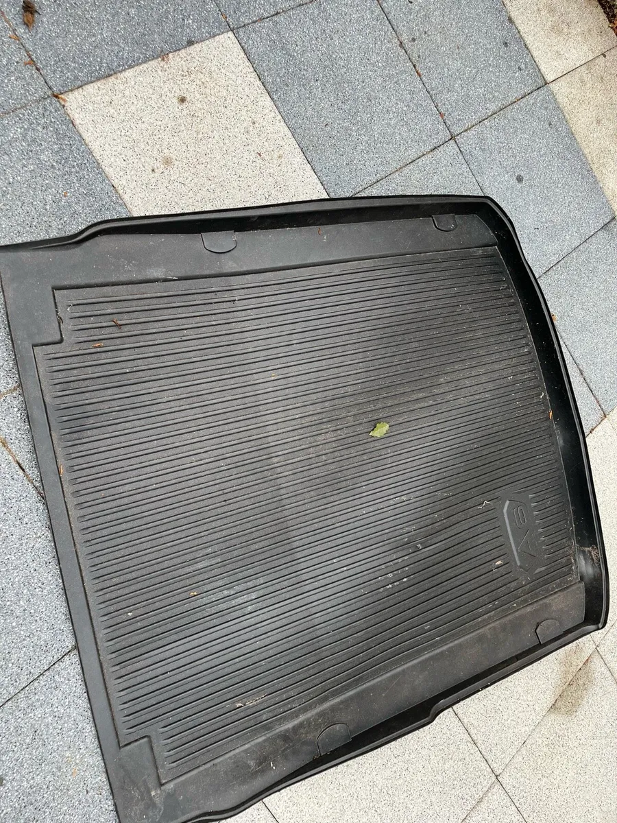 Boot mat