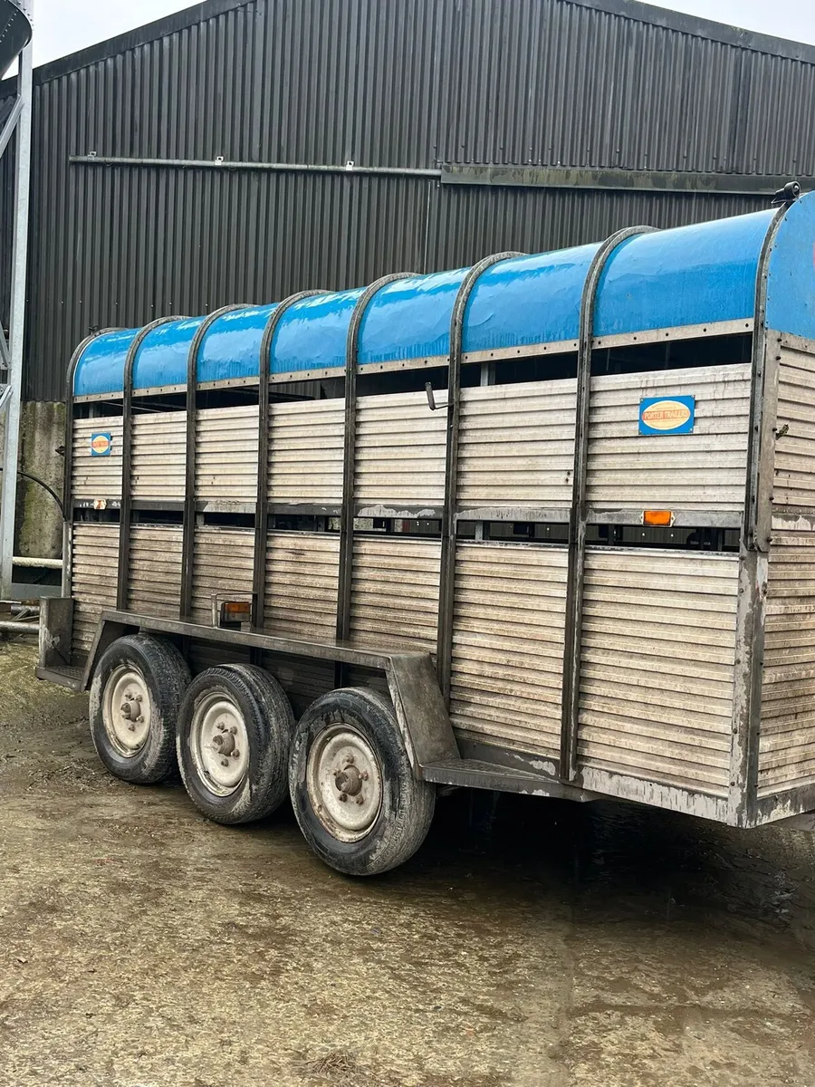 Porter Cattle Trailer 14 Foot - Image 3