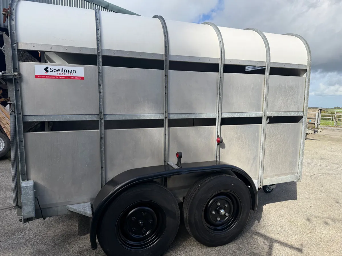 Nugent livestock trailer - Image 3