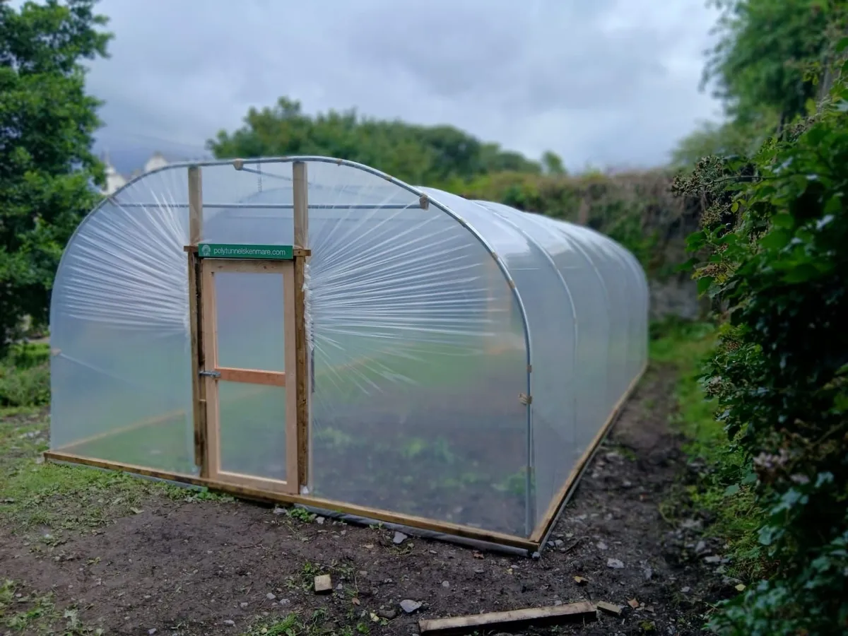 Polytunnels Kenmare - Image 1