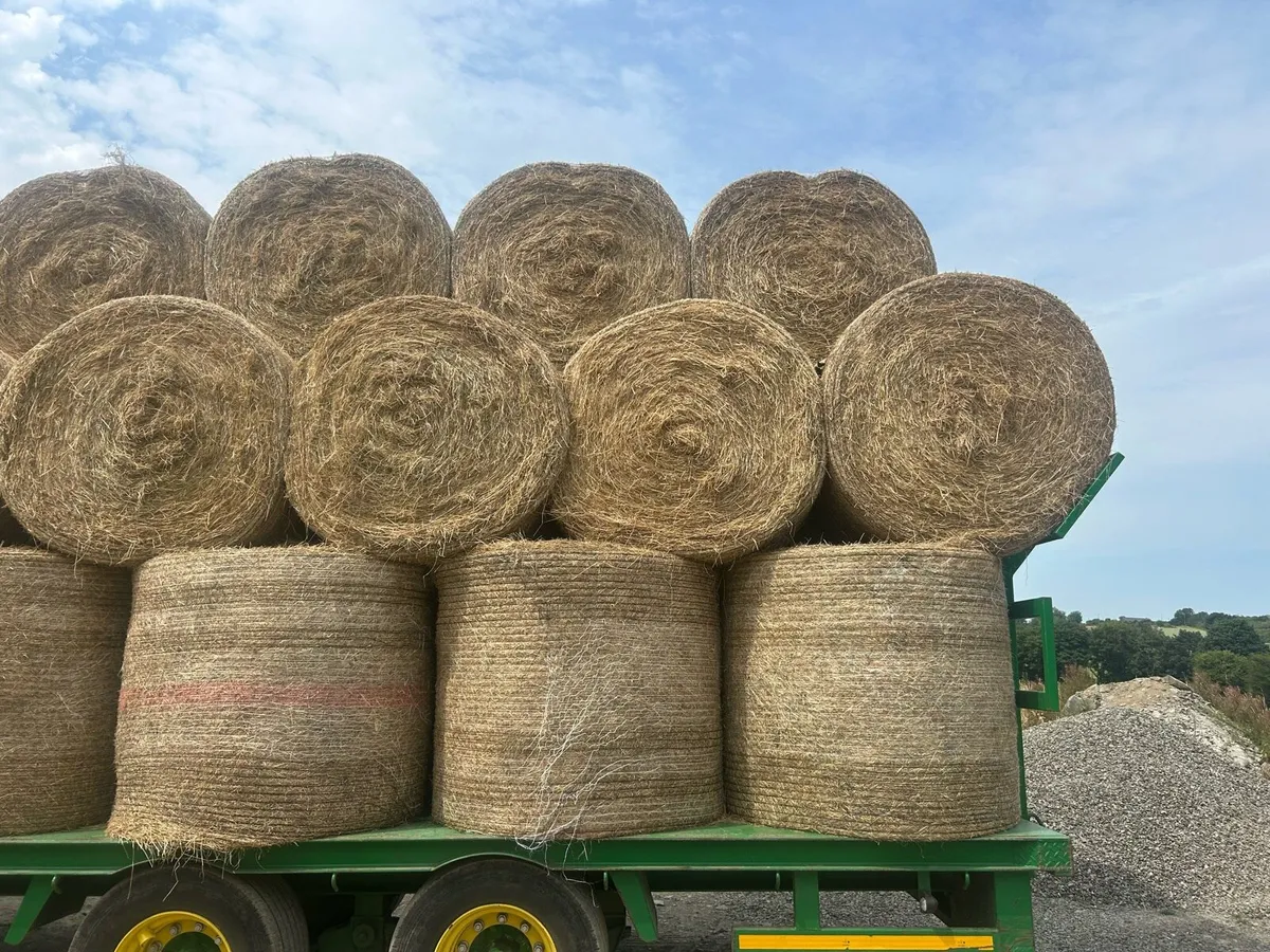 Straw and hay - Image 2