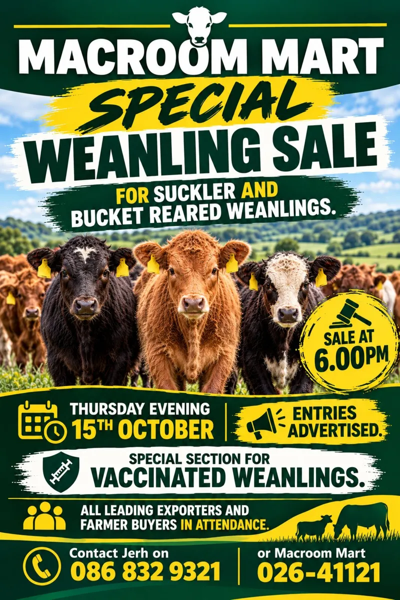 Weanling sale Macroom mart