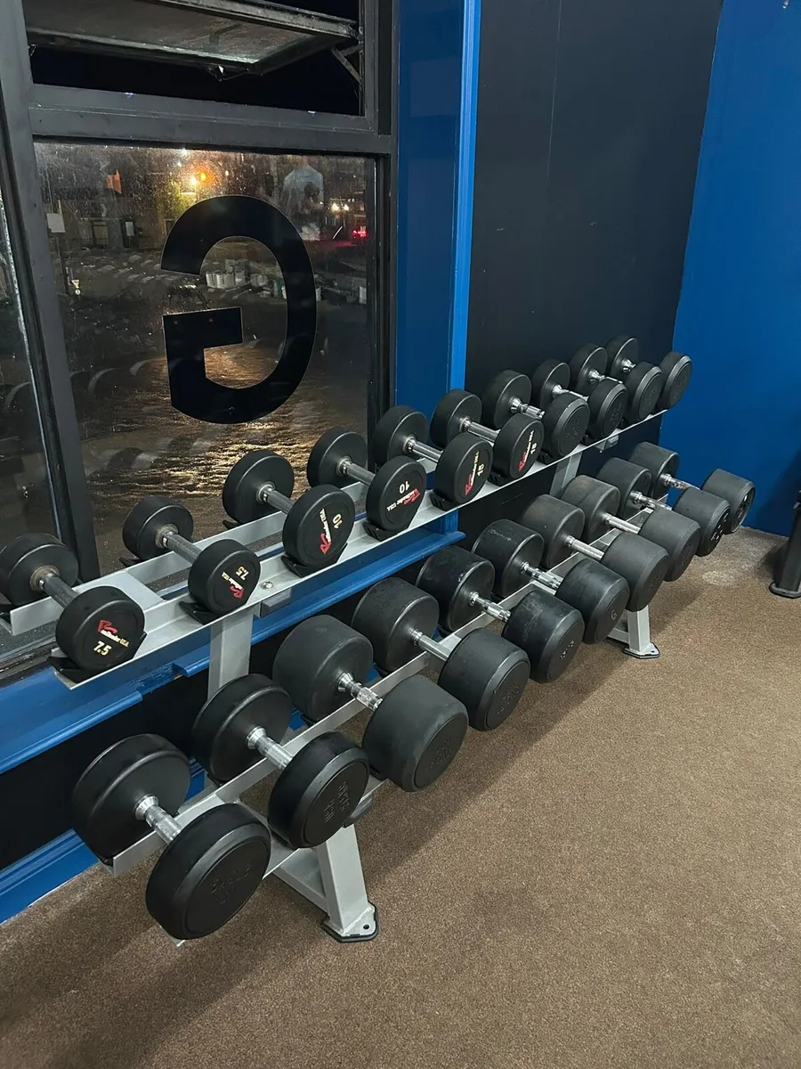 Dumbbells with rack - Image 1