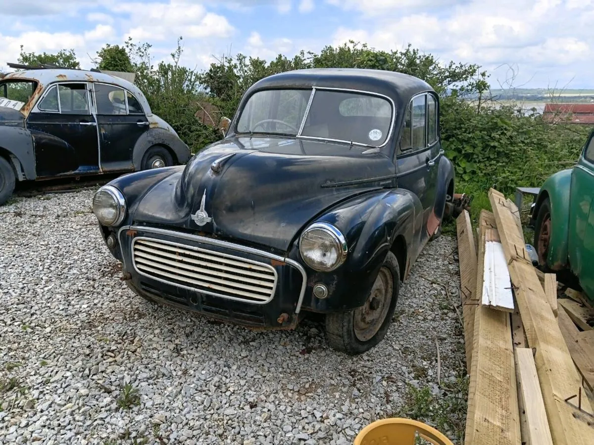 Morris Minors and Volkswagon Beetles - Image 1