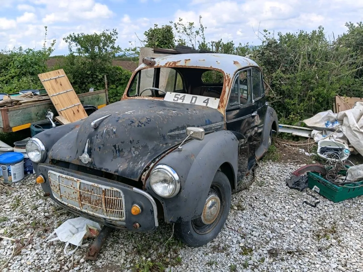 Morris Minors and Volkswagon Beetles - Image 3