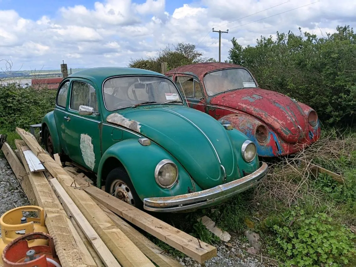 Morris Minors and Volkswagon Beetles - Image 2