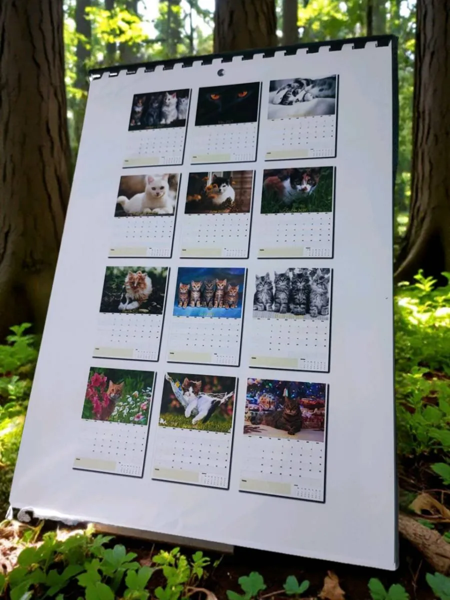 2027 Pur-Fect Paws CAT CALENDAR . - Image 2