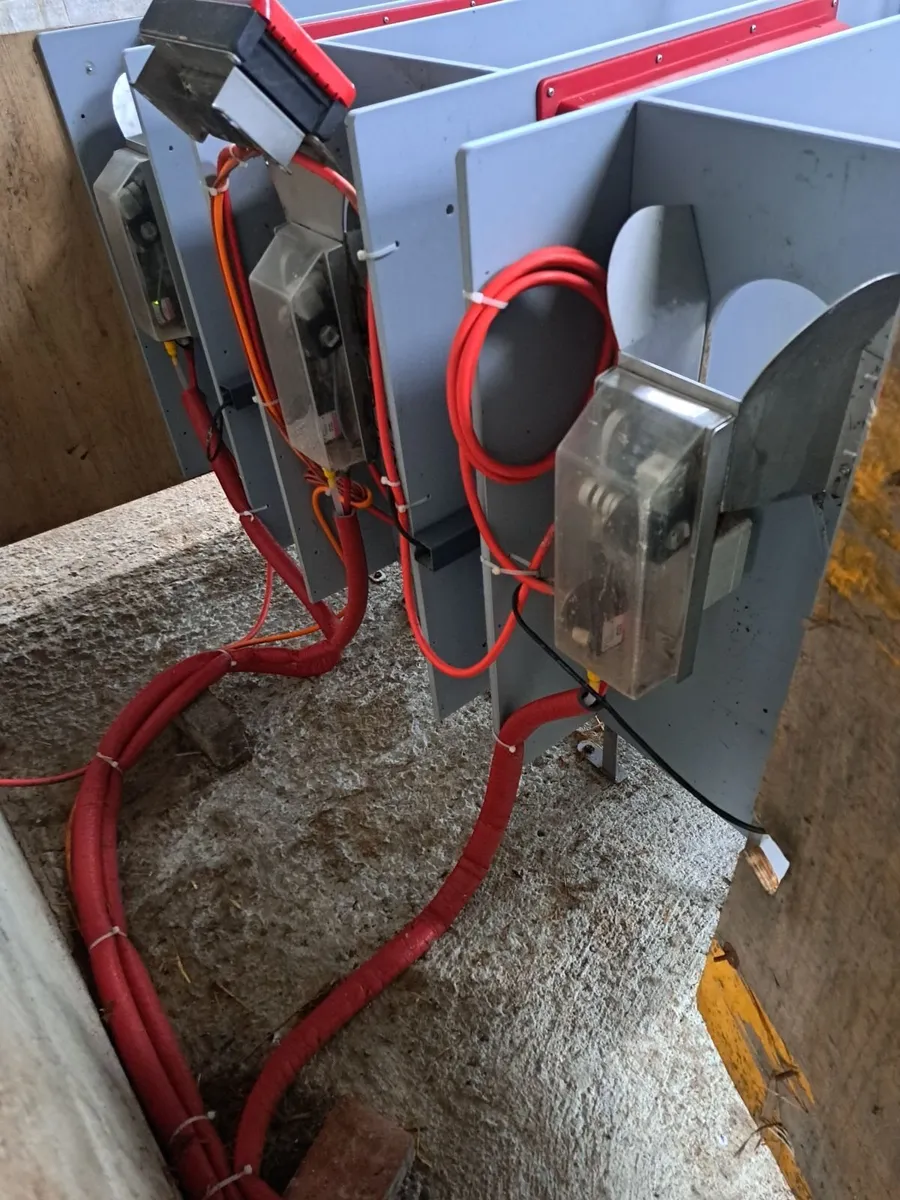 Automatic calf feeder - Image 3