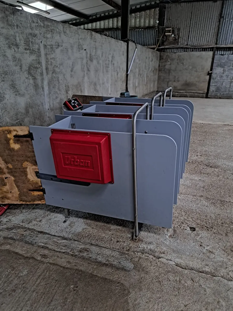 Automatic calf feeder - Image 4