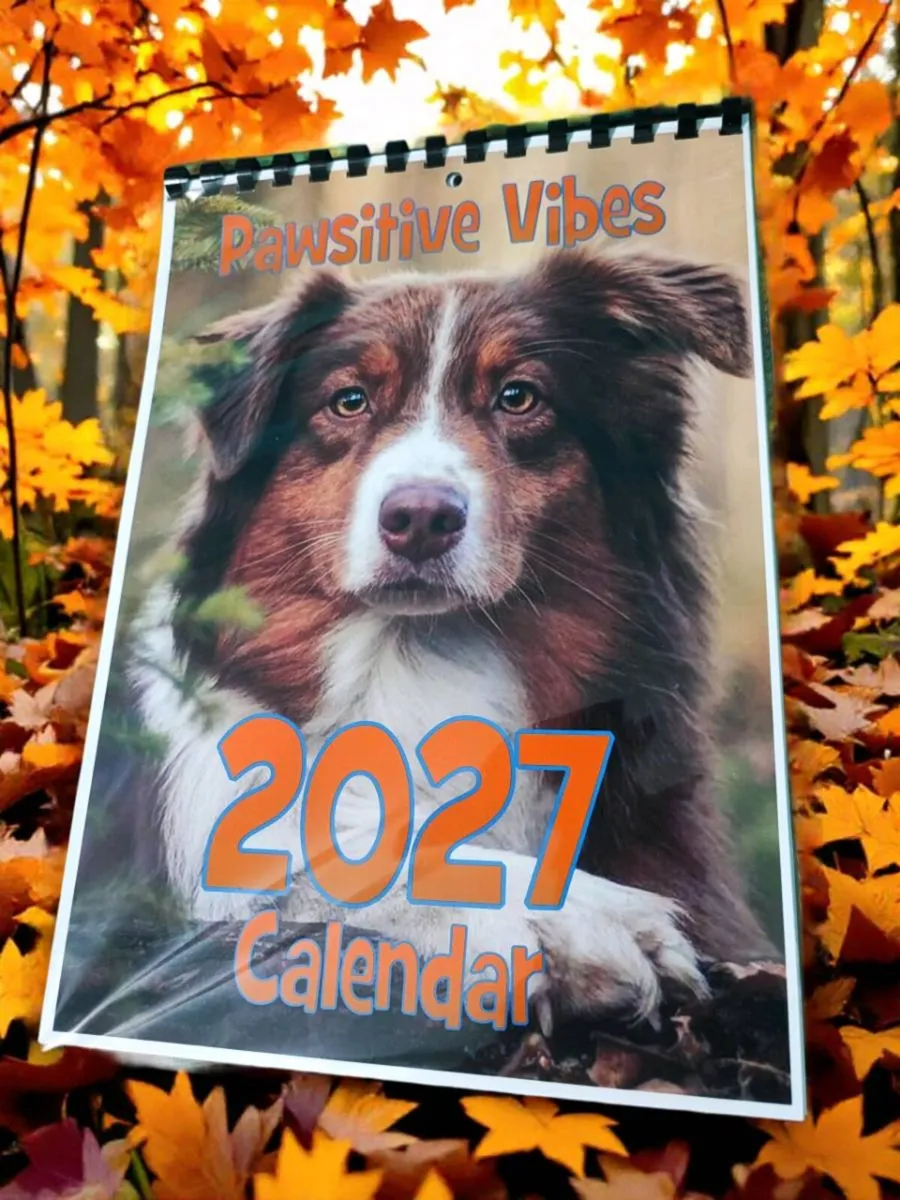 2027 DOGS CALENDAR( Pawsitive Vibes ) - Image 1
