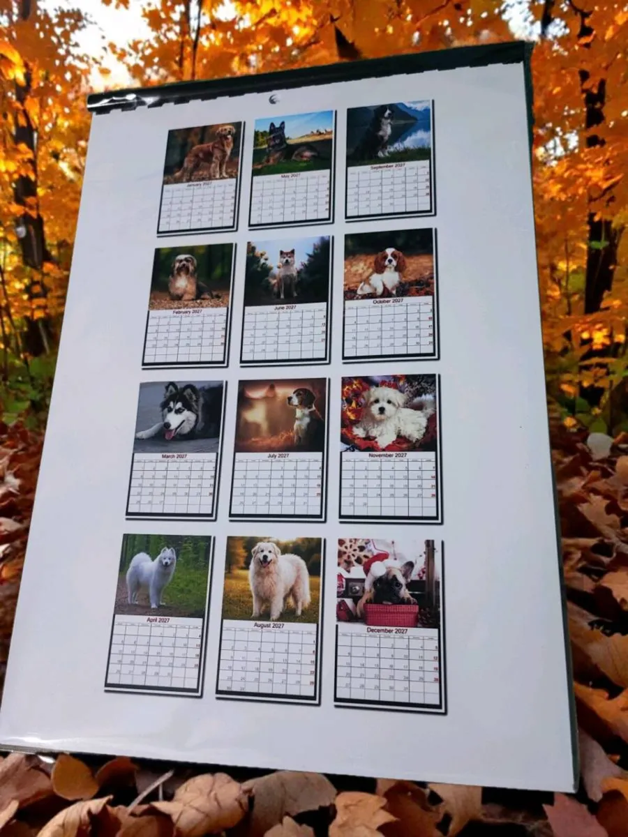 2027 DOGS CALENDAR( Pawsitive Vibes ) - Image 2