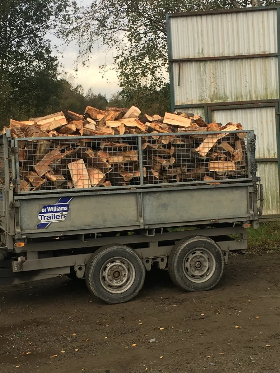 Kiln dry firewood - Image 4