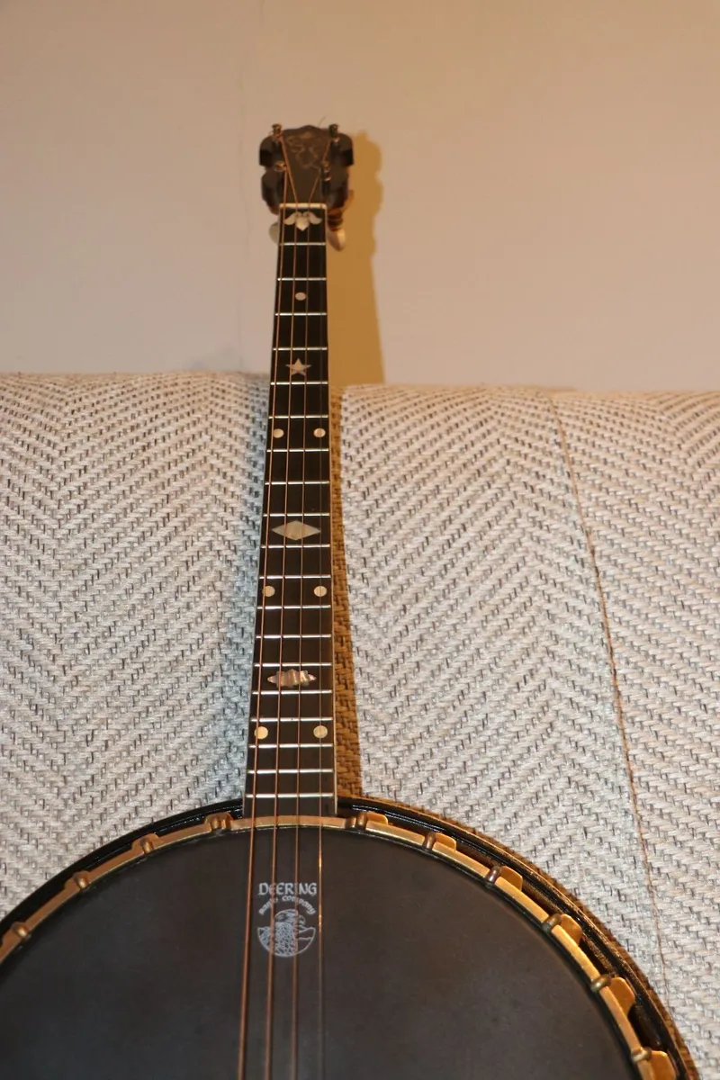 Vega phone professional tenor banjo - Image 4