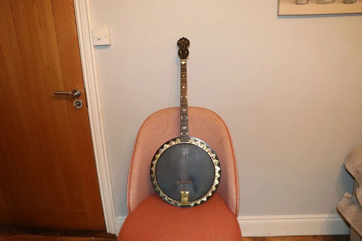 Vega phone professional tenor banjo - Image 1
