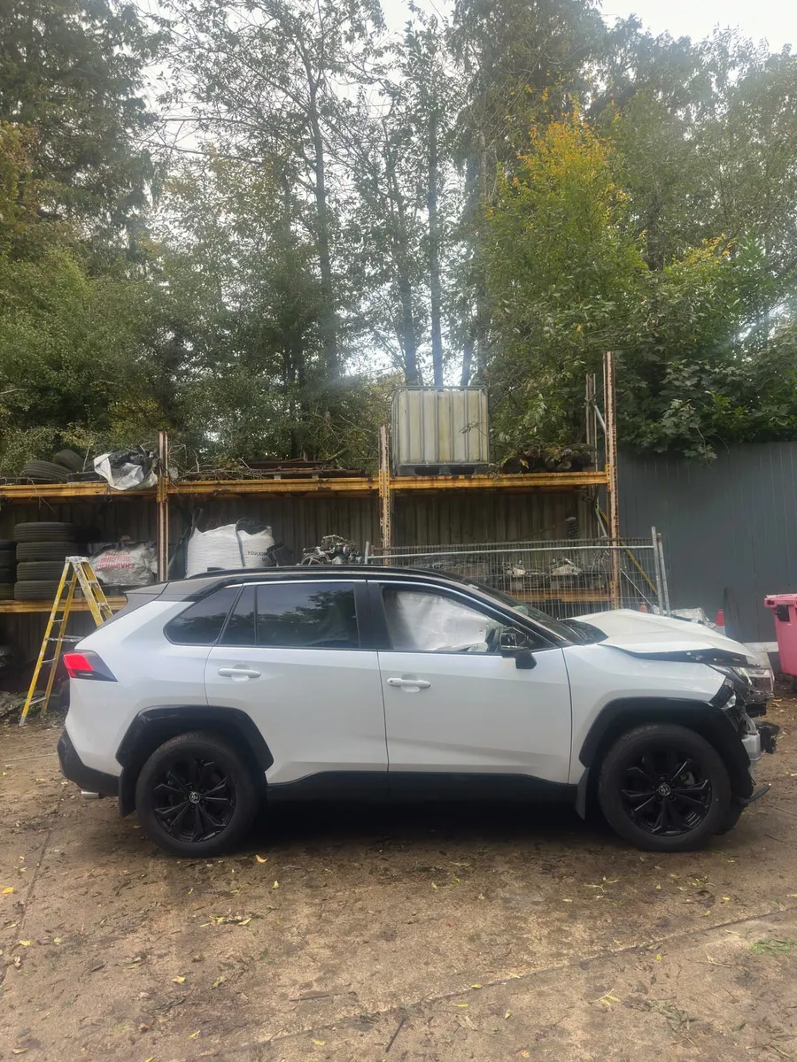 2025 Toyota RAV4 Sport - Image 2