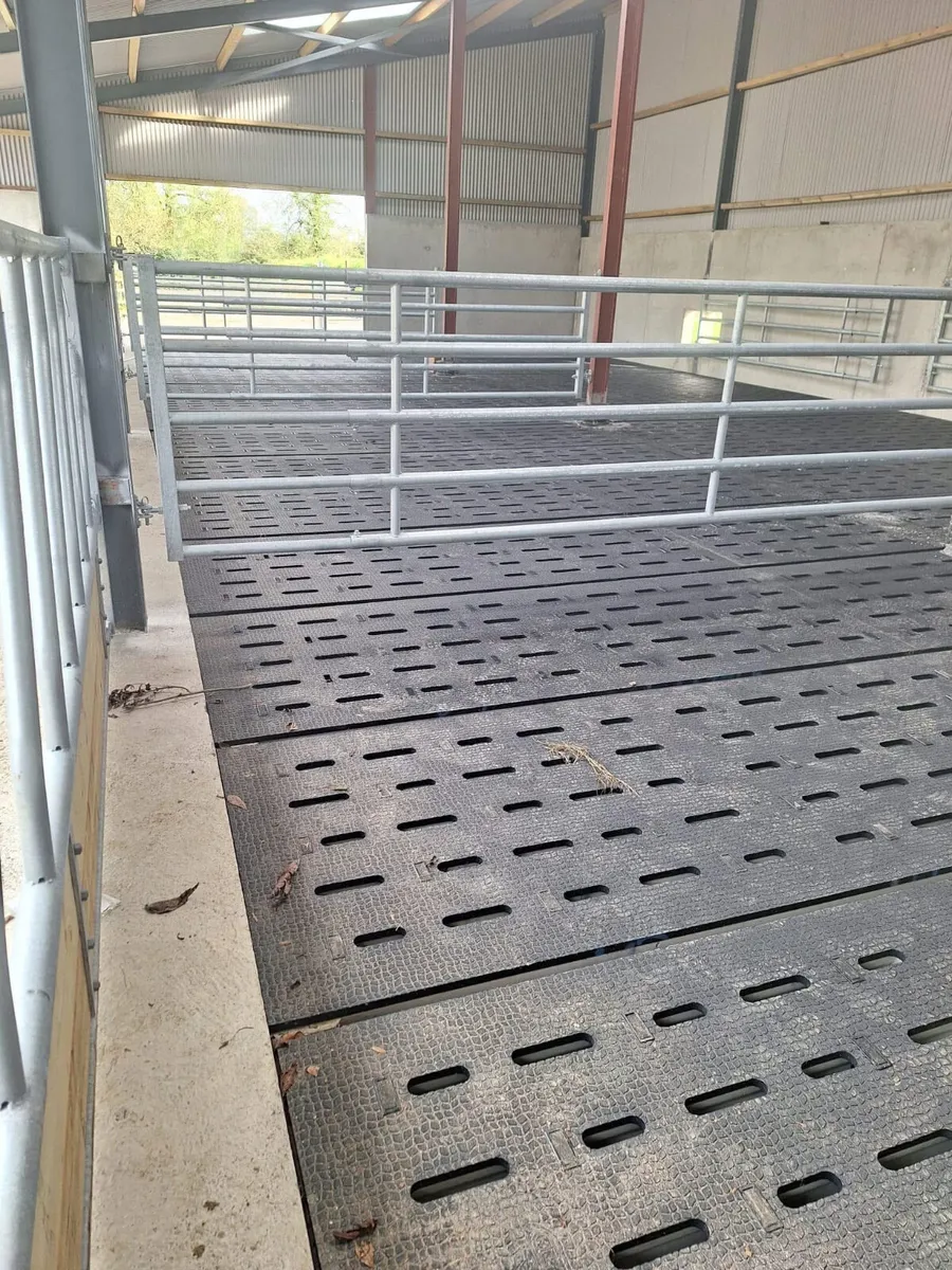 Slat Rubber - Image 4