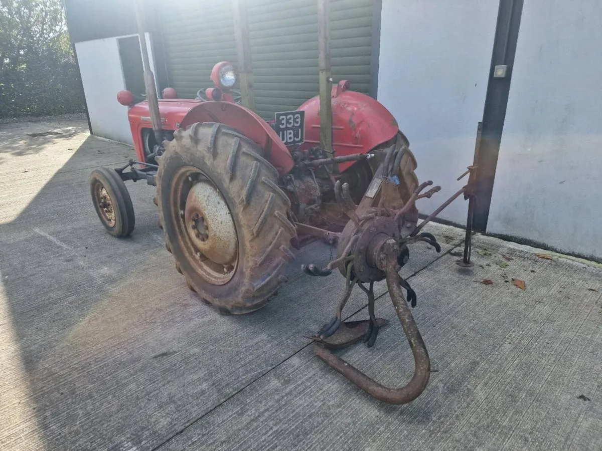 Potato spinner / digger - Image 1