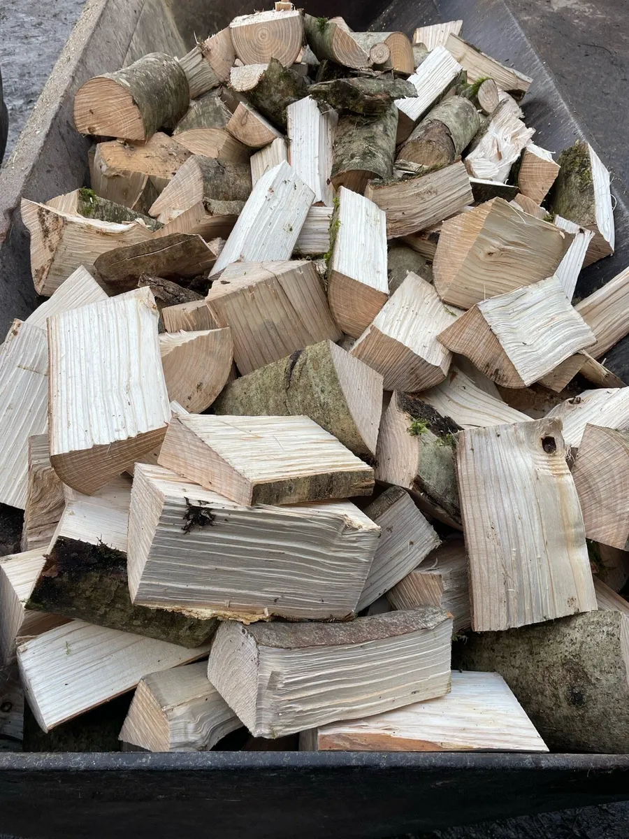 Firewood/ sticks 🪵 - Image 1