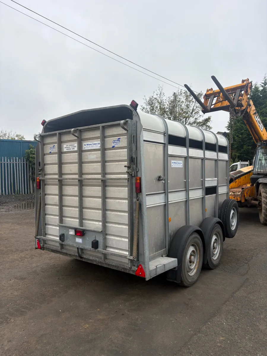 Ifor Williams 10ft cattle trailer - Image 2