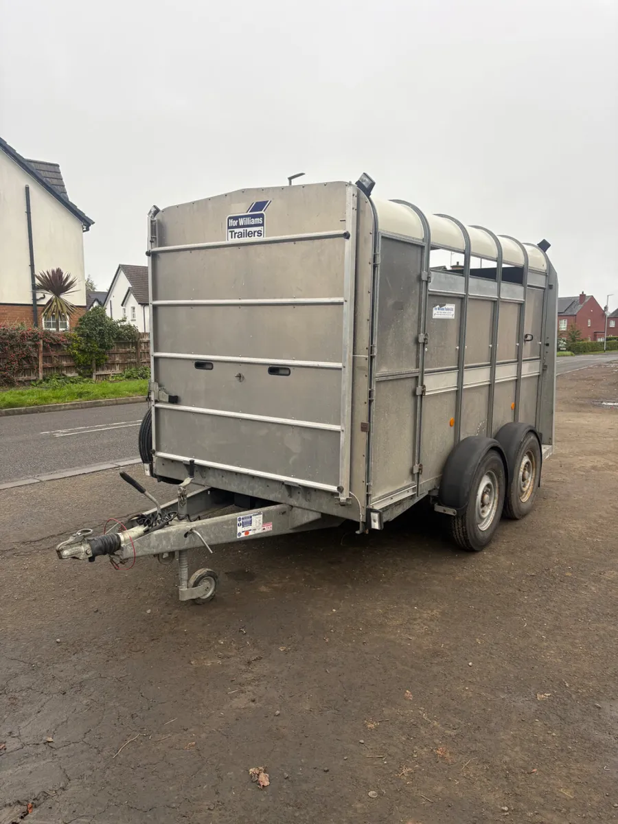 Ifor Williams 10ft cattle trailer - Image 1