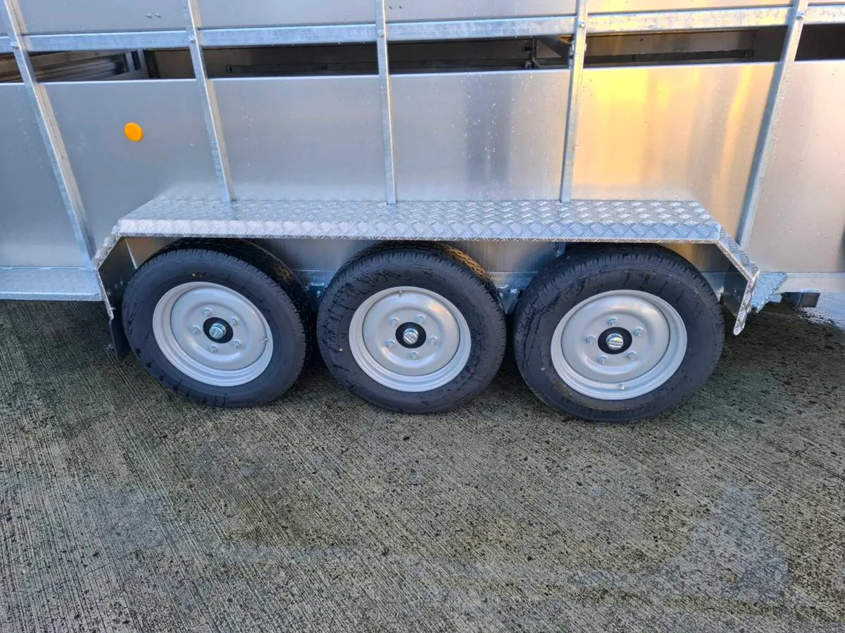 New Nugent 14ft x 6ft trailer with sheep decks - Image 3