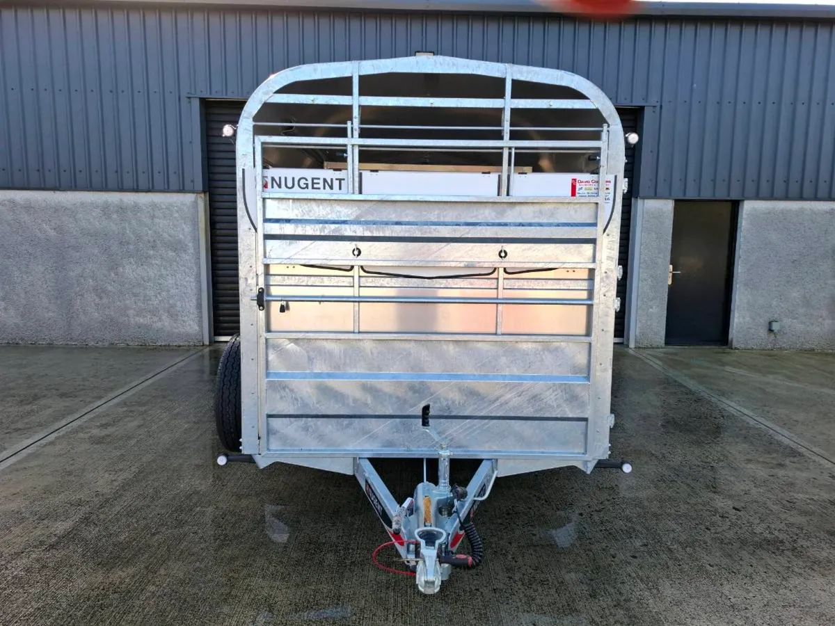 New Nugent 14ft x 6ft trailer with sheep decks - Image 4