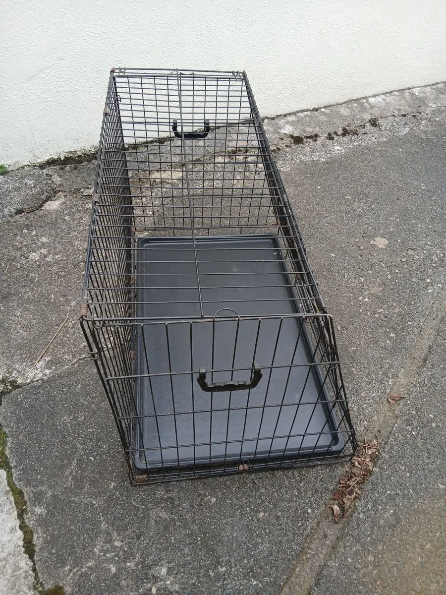Dog crate - Image 4