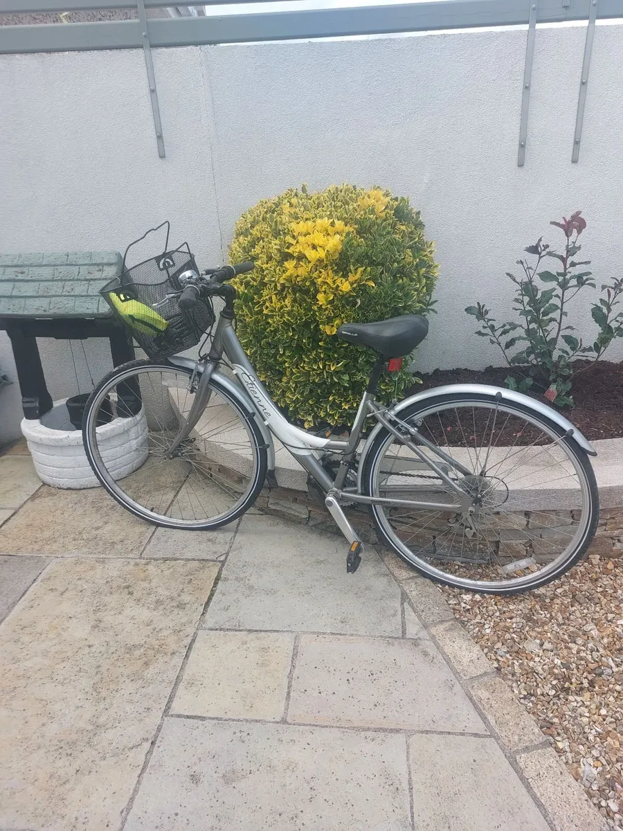 Ladys Bicycle - Image 2