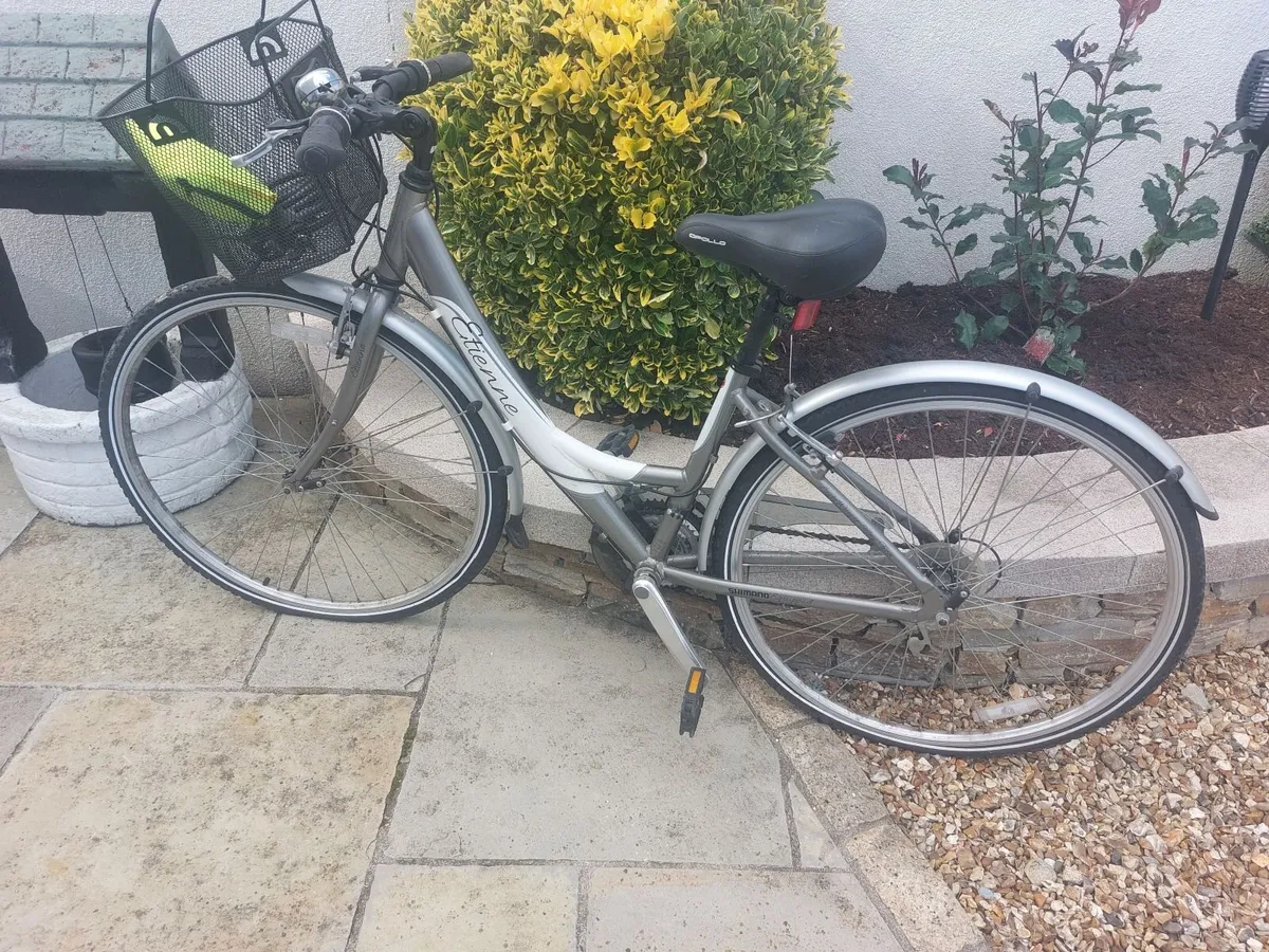 Ladys Bicycle - Image 1