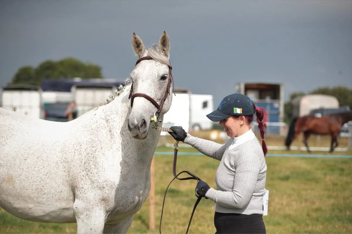 Broodmare/Recip - Image 4
