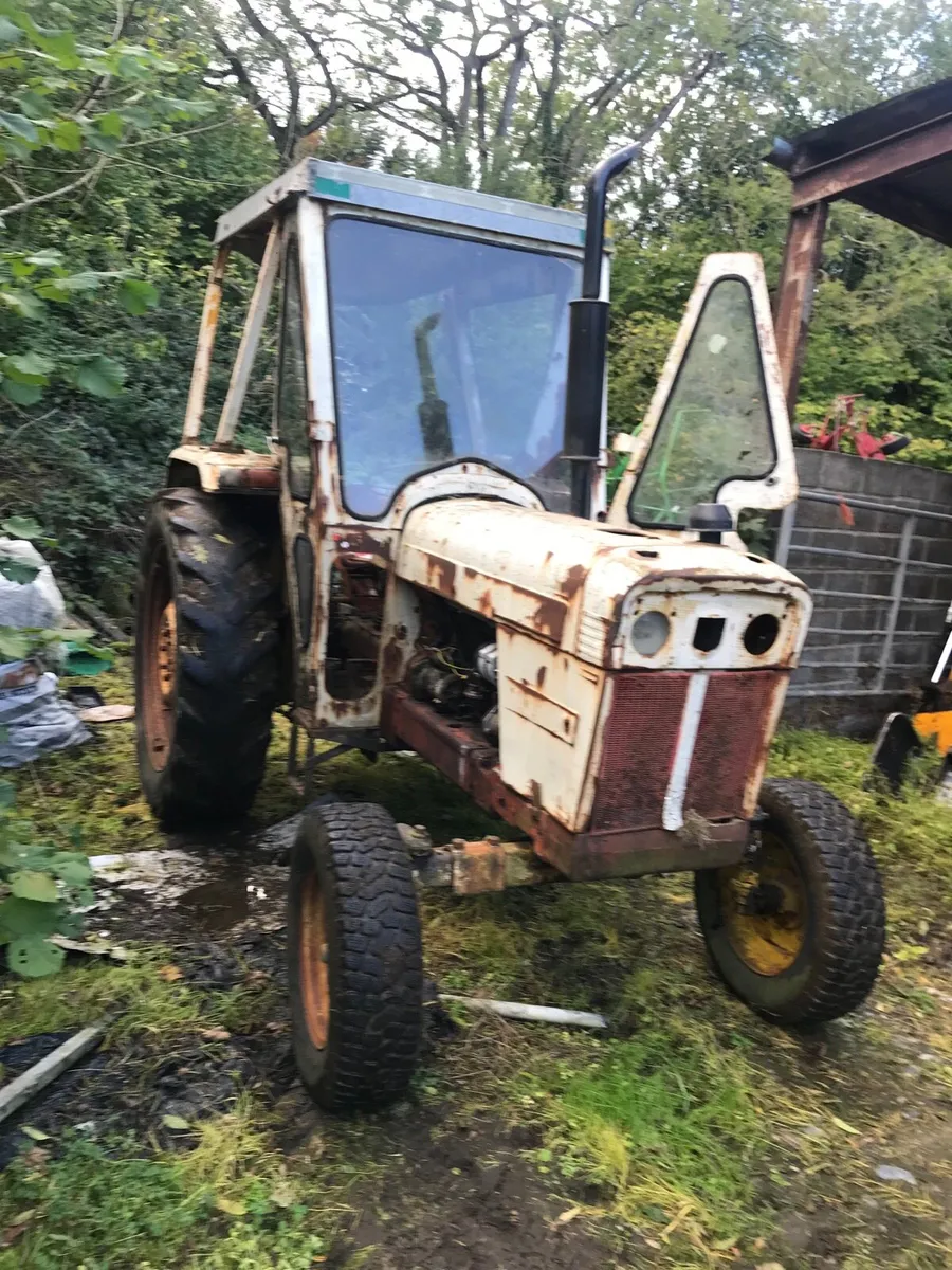David brown tractor - Image 1