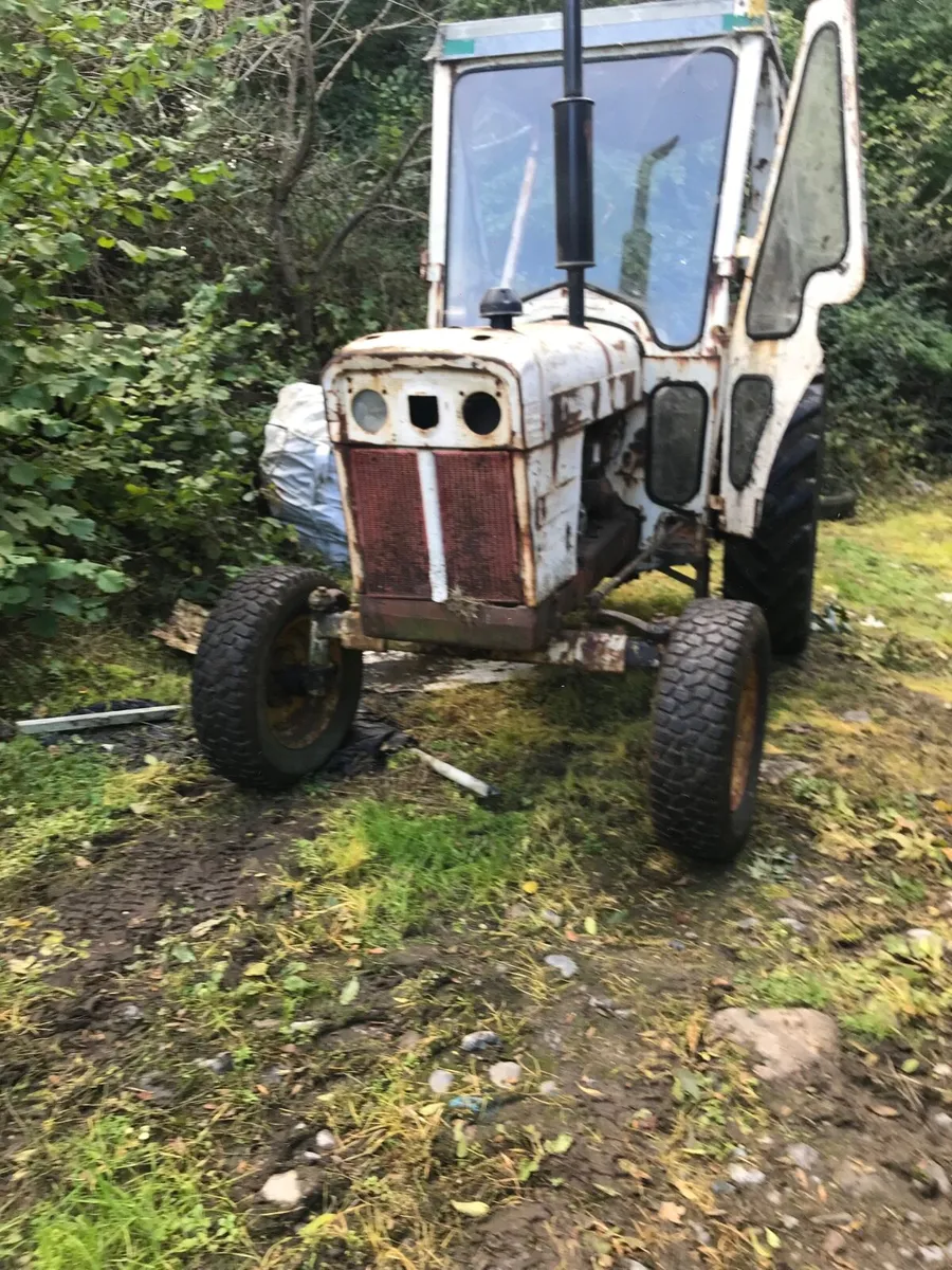 David brown tractor - Image 2