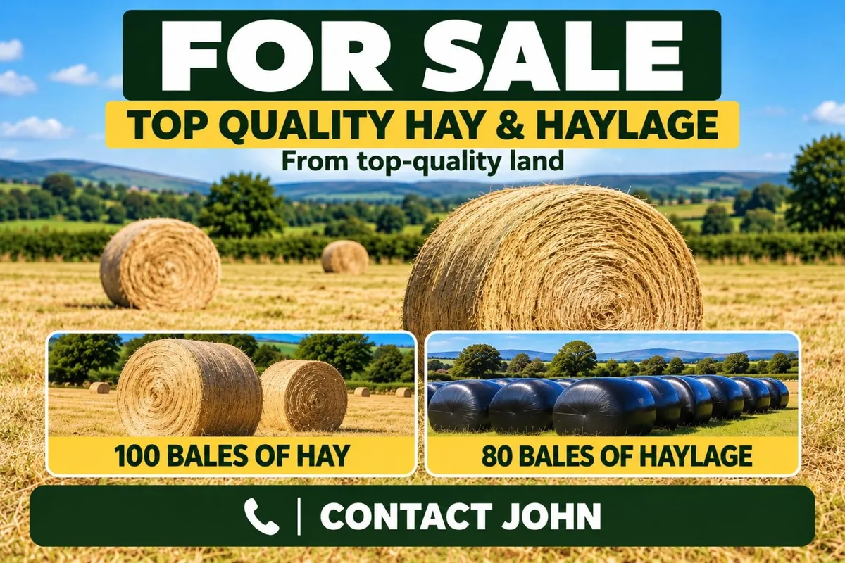 🌾 Top-quality Hay and Haylage - Image 1