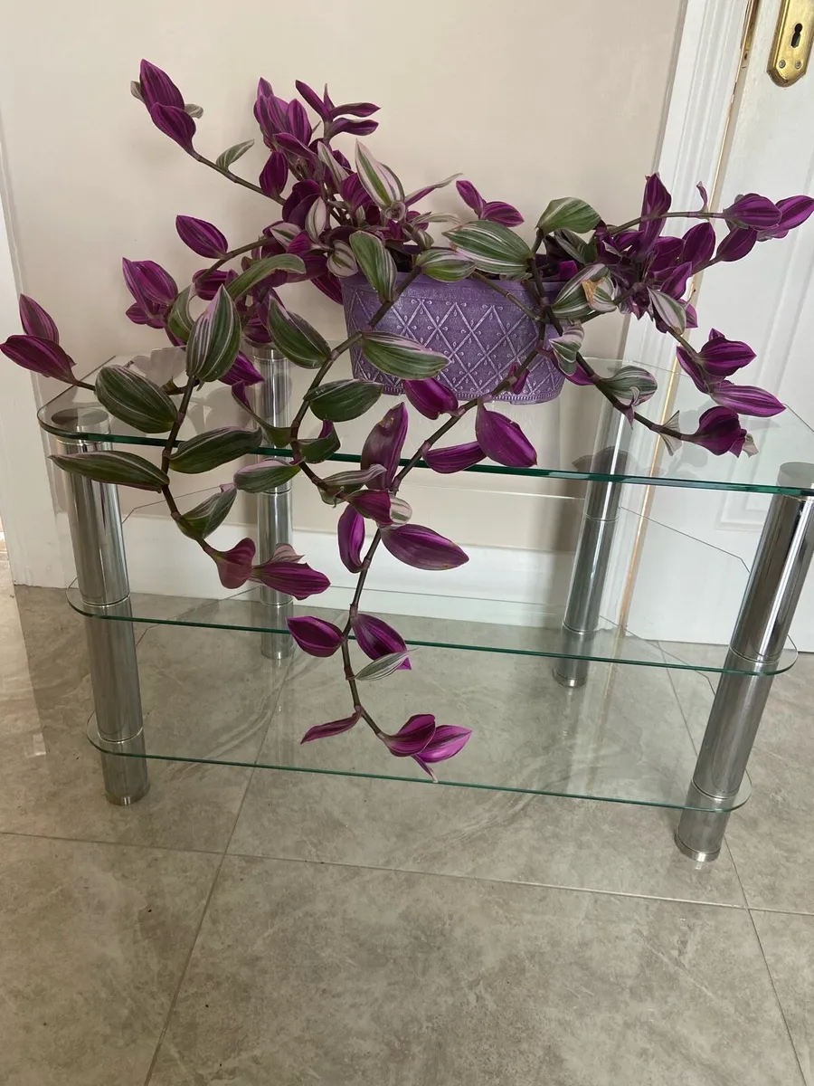 Glass tv stand. - Image 2