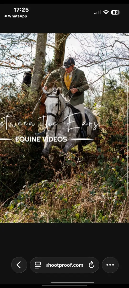17.1 hh hunter - Image 3
