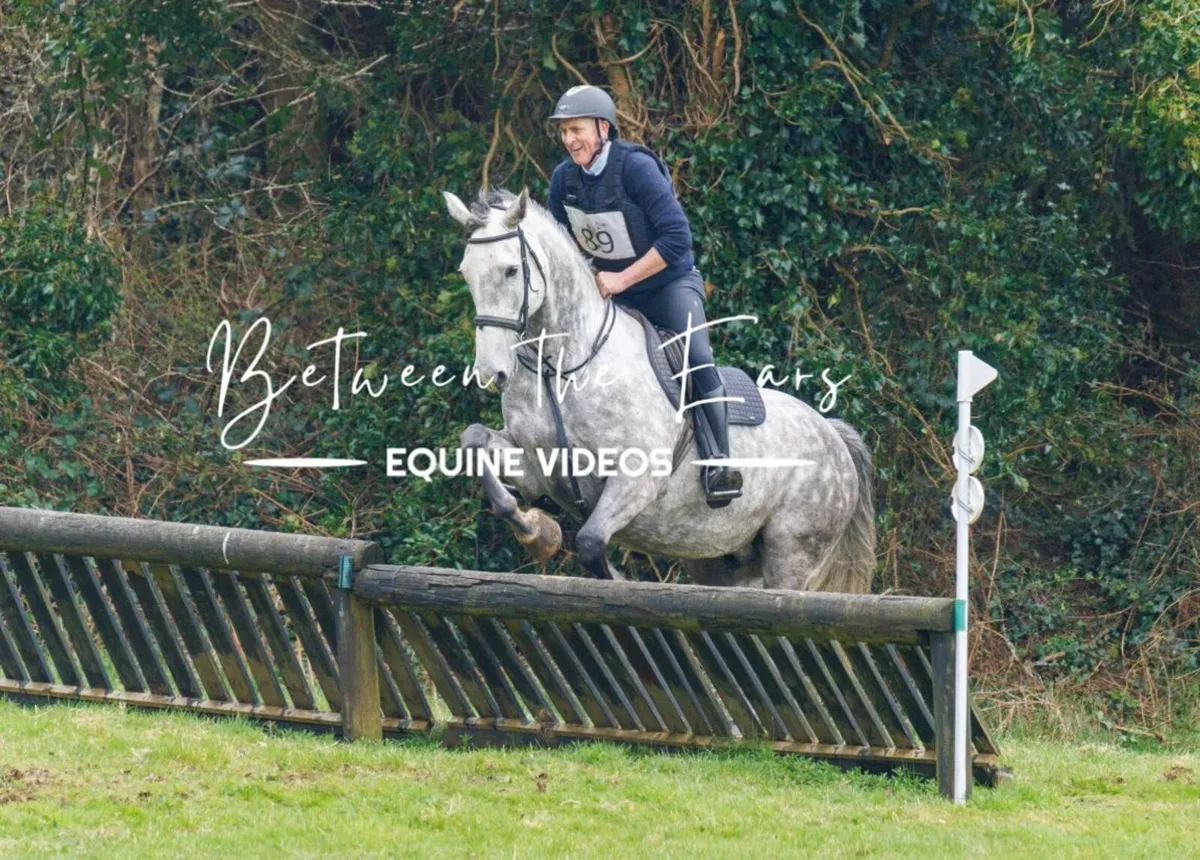 17.1 hh hunter - Image 4