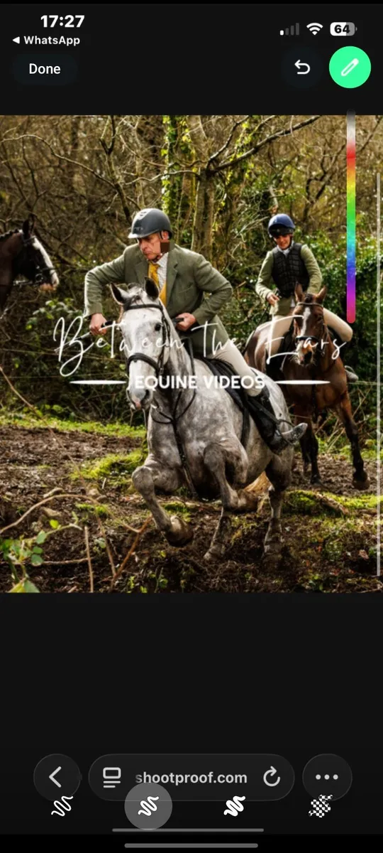 17.1 hh hunter - Image 1