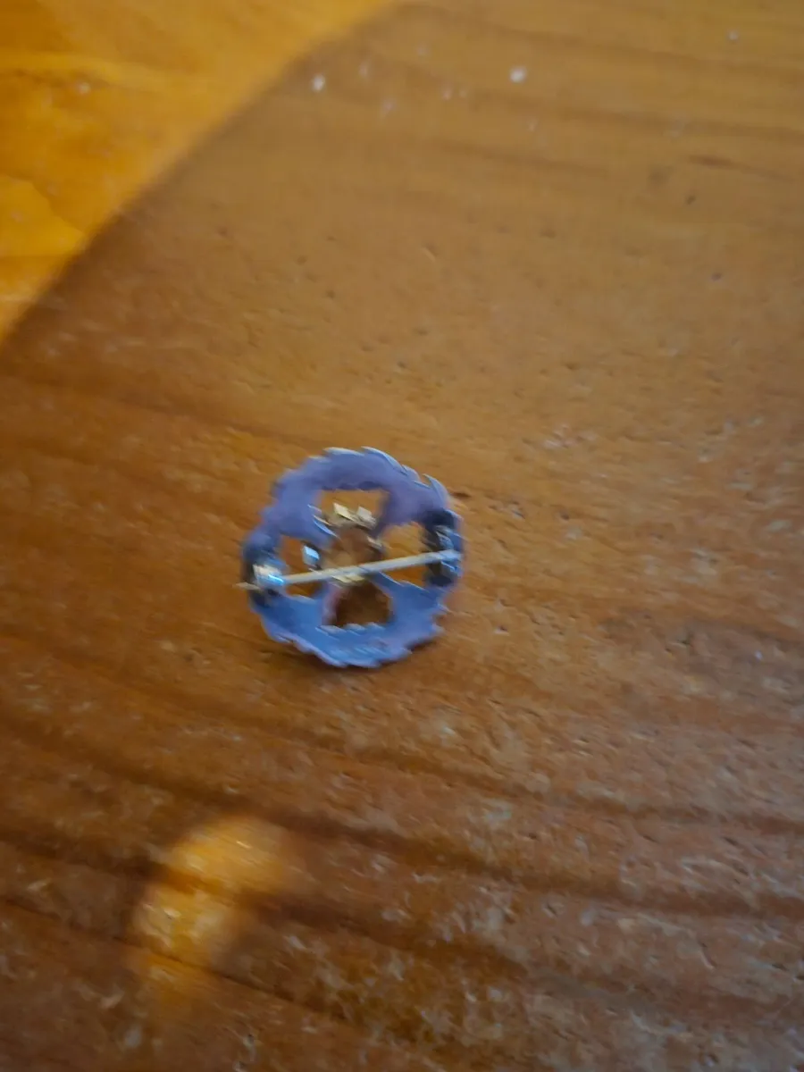 Vintage Broach - Image 3