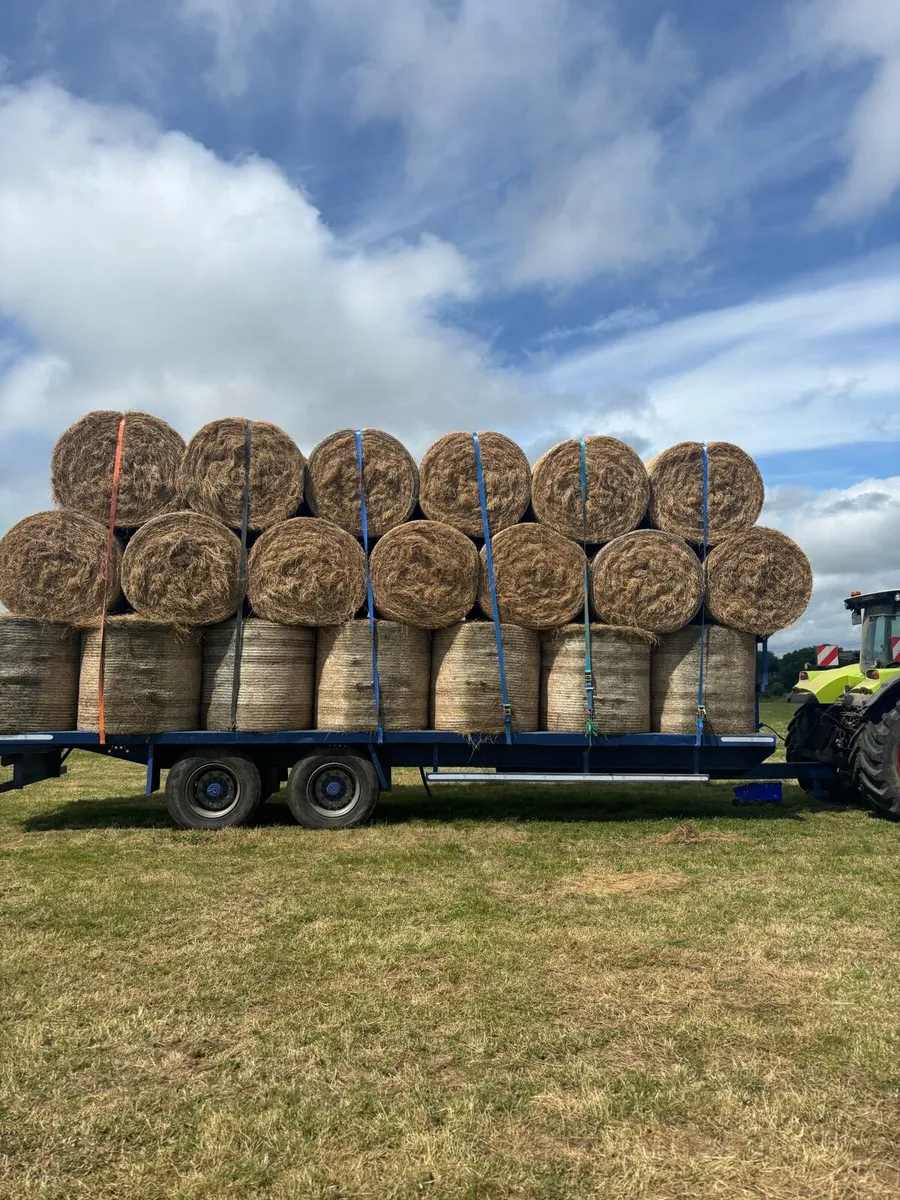 300 Round bales of Hay - Image 1